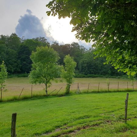 Appartement Villa Le Plateau. Bourboule Zewnętrze zdjęcie