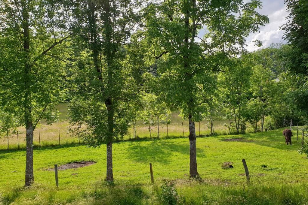 Appartement Villa Le Plateau. Bourboule Zewnętrze zdjęcie