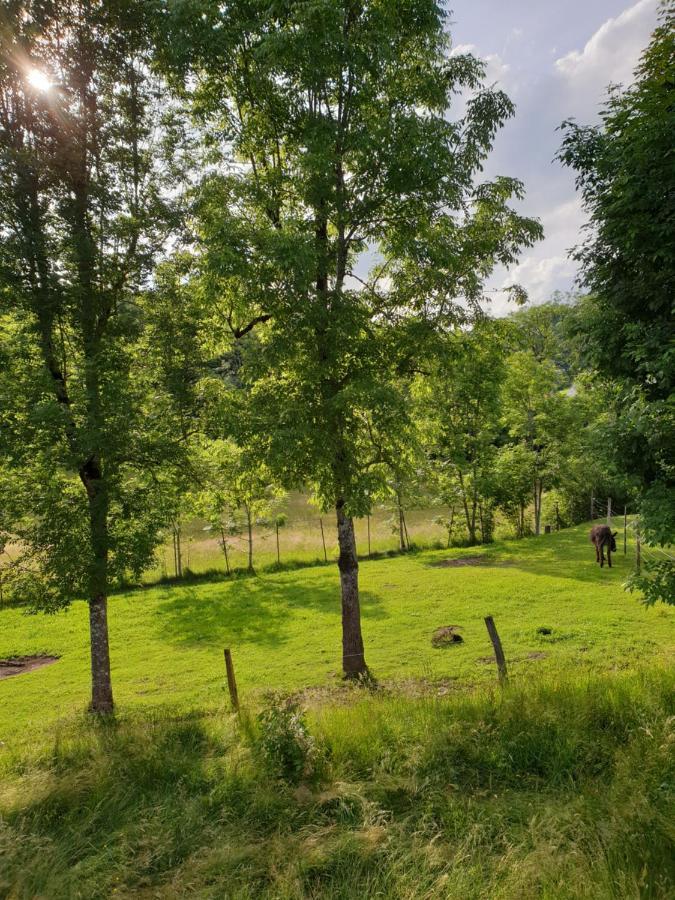 Appartement Villa Le Plateau. Bourboule Zewnętrze zdjęcie