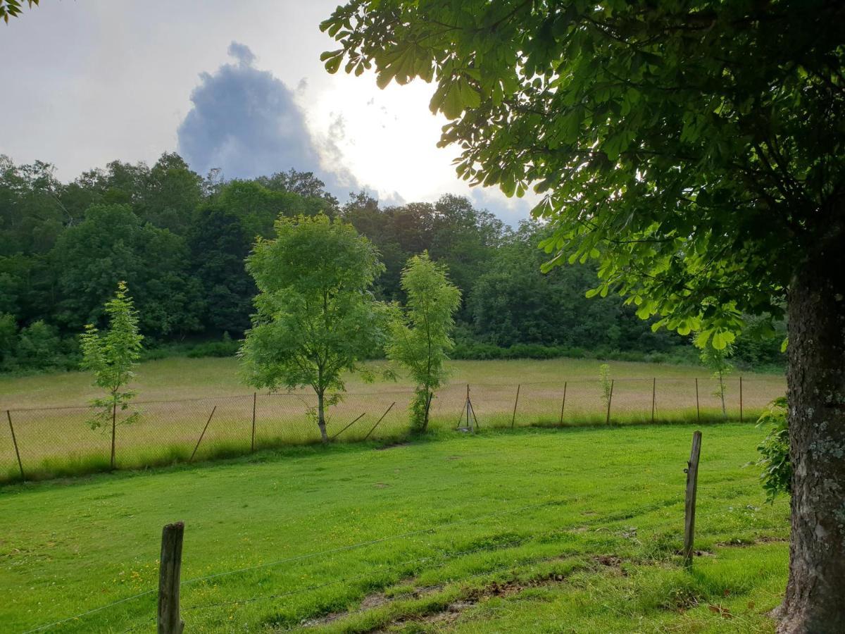 Appartement Villa Le Plateau. Bourboule Zewnętrze zdjęcie